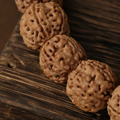 Potalapalace Accessories Handmade Natural Rudraksha Seed Bracelet featuring Tiger Tooth Dzi Beads Bracelet